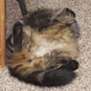 Meet your Posher, Joanna